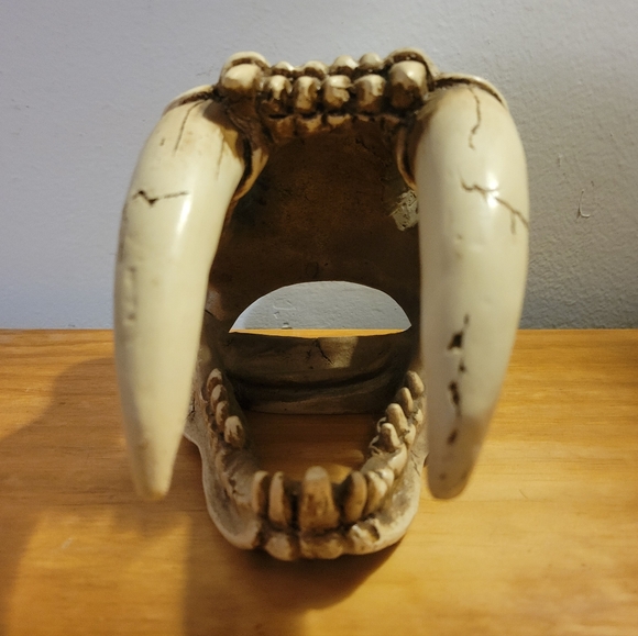 Smilodon Saber Tooth Tiger ๐
Skull Replica ๐ฏ - Picture 4 of 7